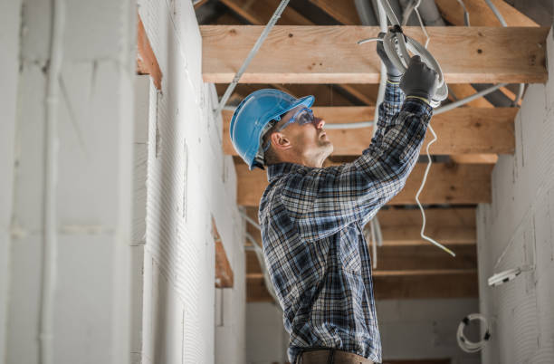 Best Electric Panel Repair  in Sumner, IA